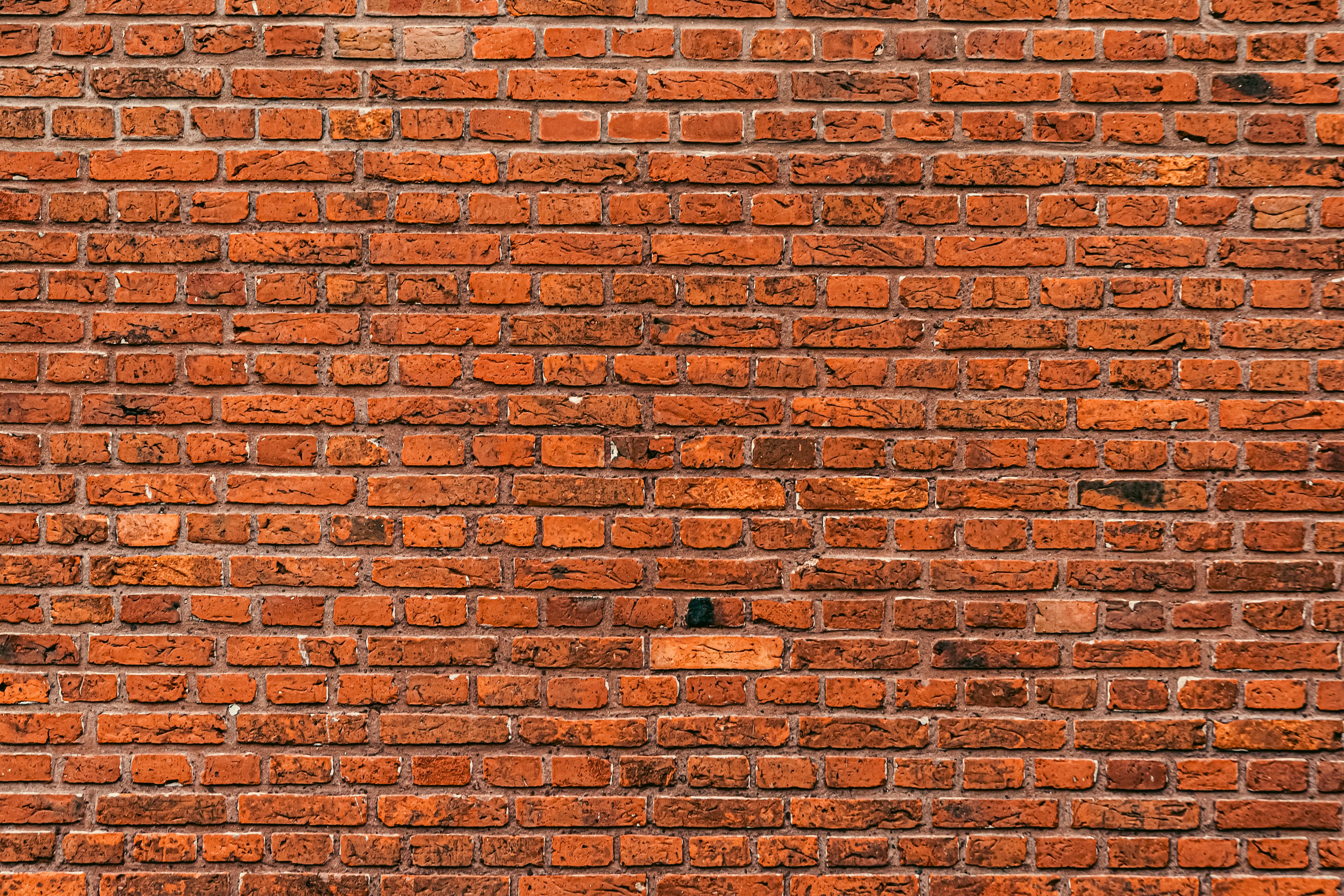 Caña Nights background